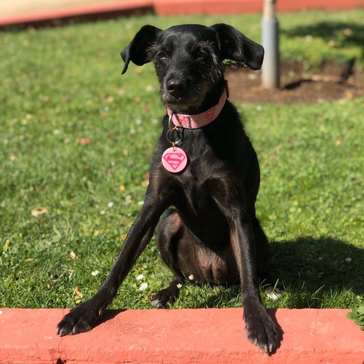 Supergirl - Imagen 2