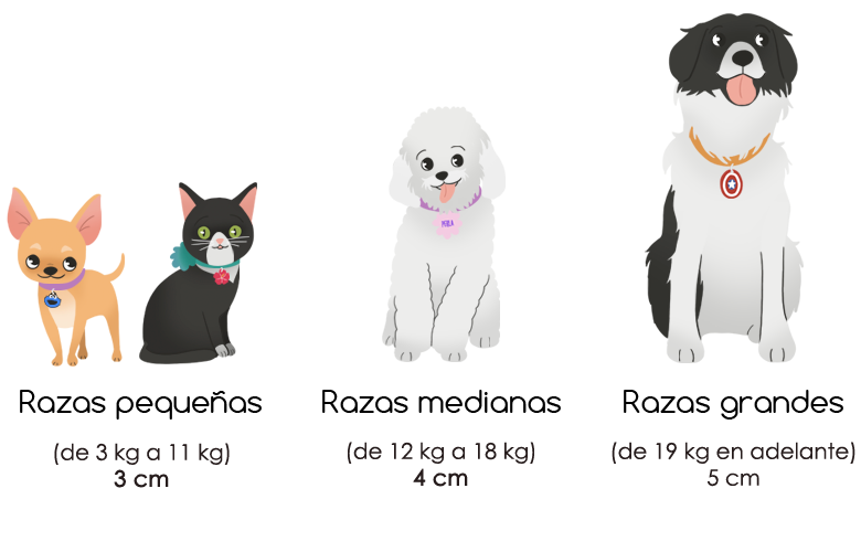 Cara mascota personalizada - Imagen 3