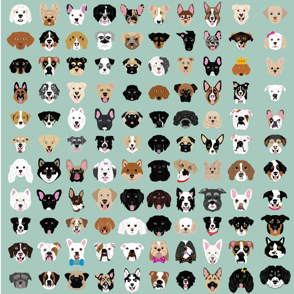 Cara estándar con código QR